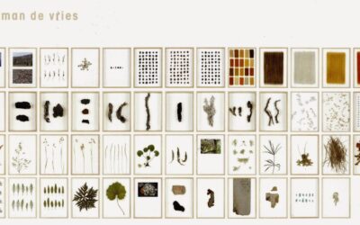 Verzamelingen van resten uit de natuur