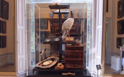 Cromhouthuis en Wunderkammer