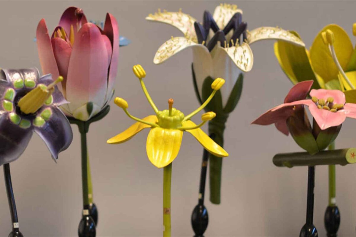 Assortiment museumwinkel Universiteit Utrecht